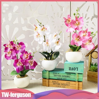 Fe 人造蝴蝶蘭花盆栽盆景帶盆假植物適合家庭臥室客廳裝飾