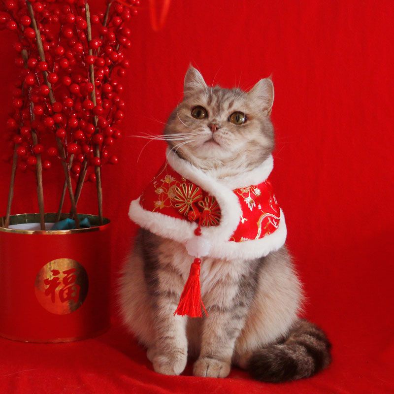貓咪披風 寵物新年刺繡 貴妃披肩 春節拜年衣服 圍巾保暖 頸圈拍照