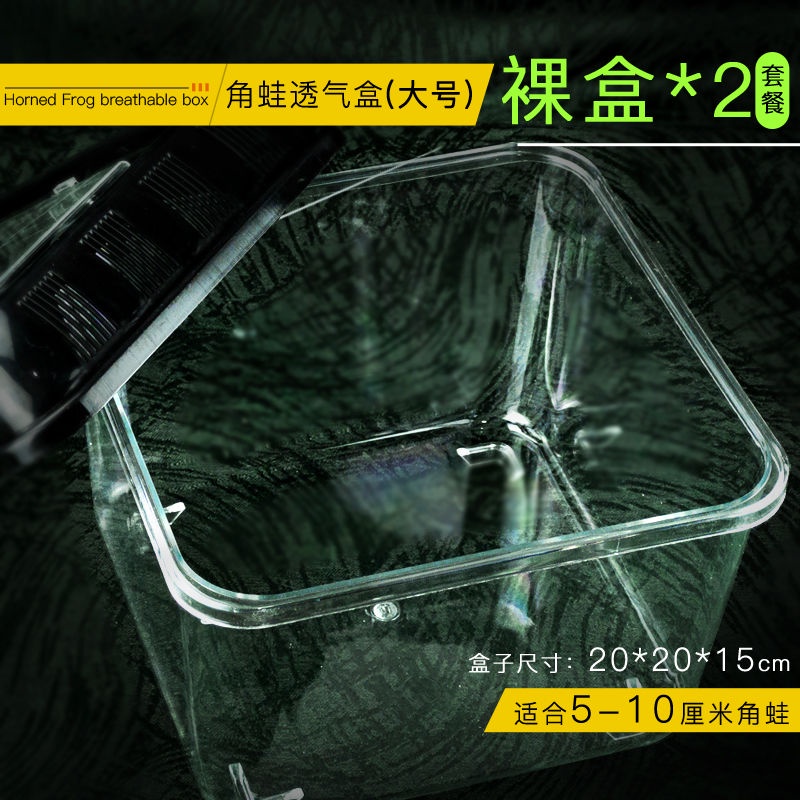 現貨角蛙飼養箱生態缸造景青蛙套餐爬寵乾溼分離角蛙專用飼養盒壓克力