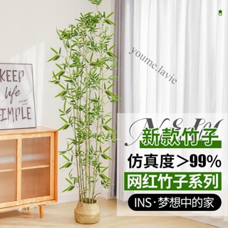 【采美生活】免運 仿真竹子室內裝飾假竹子隔斷屏風擋牆造景室外裝飾竹盆栽加密綠植