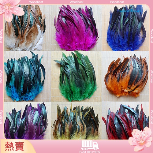 [WBT]❀50 件 13-20 厘米天然美麗公雞公雞尾巴羽毛,用於 DIY 衣服裝飾
