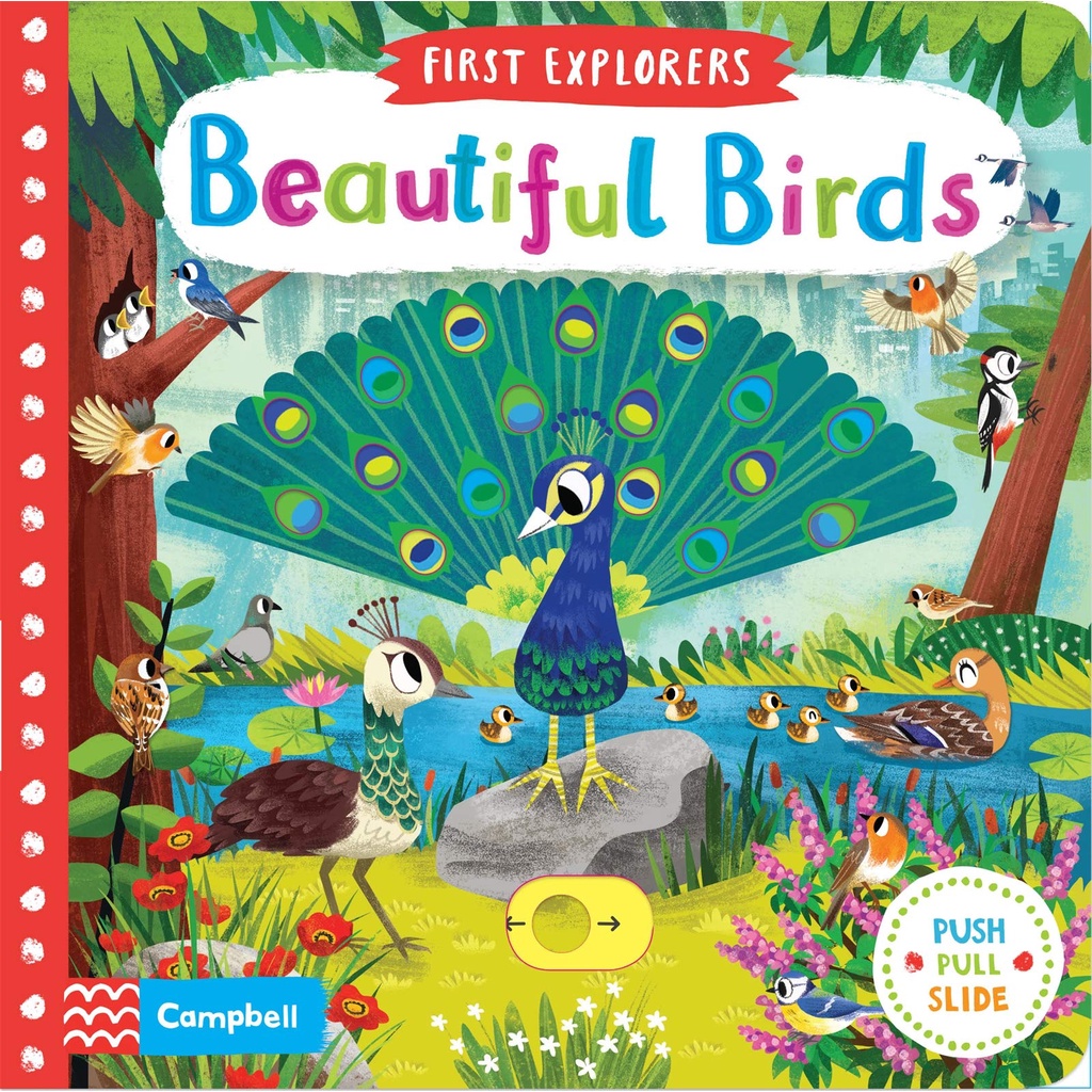 Beautiful Birds (First Explorers)(硬頁推拉書)(硬頁書)/Campbell Books【三民網路書店】