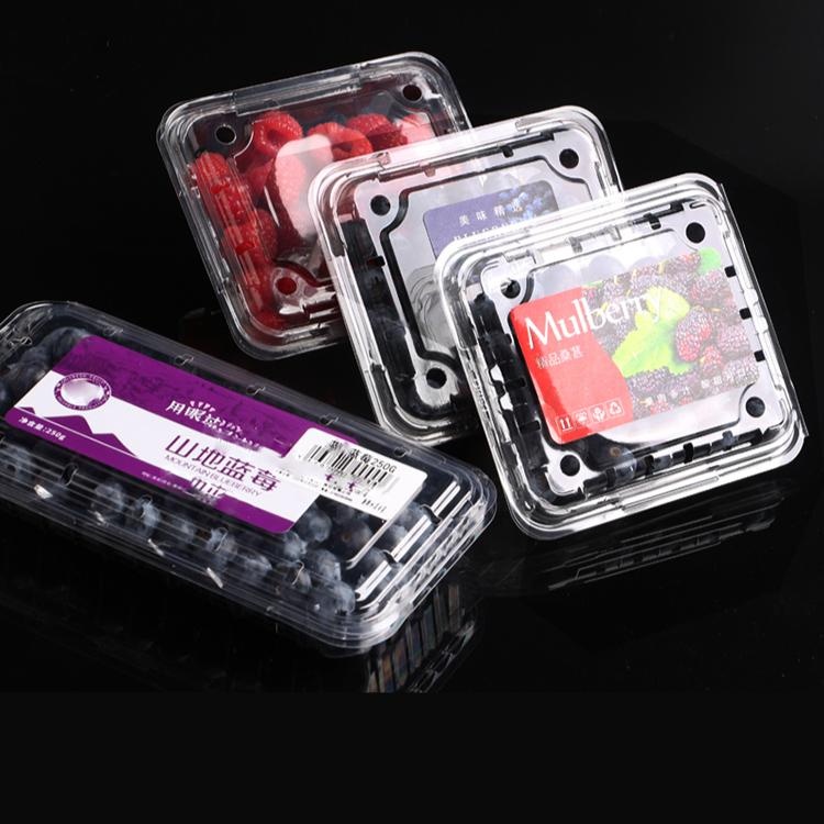 現貨【一次性水果盒】pet125g 藍莓一次性 加厚藍莓盒 透明塑膠盒 水果桑葚樹莓 透氣盒 批發