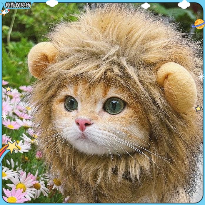 【現貨速發】貓咪獅子頭套 貓咪變獅子 兔子耳朵 小型犬 狗狗帽子 貓咪衣服 寵物 可愛 搞怪 配飾 頭飾 變裝扮