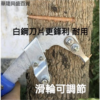 【華隆興盛百貨】果樹環割刀片蜜柚子環剝皮剪刀開甲器柑桔橘棗樹蘋果葡萄環撥刀