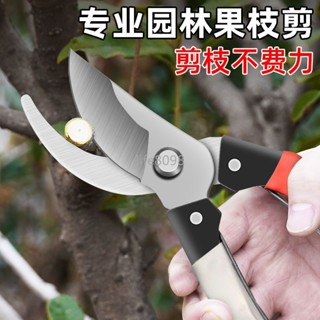 【臺灣熱賣】剪枝果樹修枝 剪刀園藝 修剪樹枝園林 修花枝剪 家用剪子摘果神器