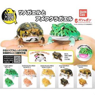 現貨 日本 Bandai 萬代 角蛙與饅頭蛙 扭蛋 青蛙 蟾蜍 生物大圖鑑 爬蟲類 轉蛋 模型 公仔 教具 富士通販