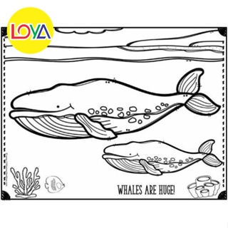 一套 17 張海洋主題著色圖片,兒童鯨魚著色紙,A4。A5 著色紙