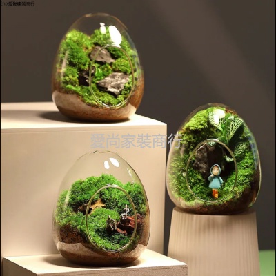 苔蘚微景觀盆栽生態瓶奇趣創意種好植物小盆景辦公室桌面好養綠植
