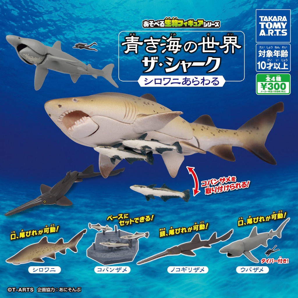 花花扭蛋 多美TOMY扭蛋蔚藍海世界THE可動海洋生物沙虎鯊鋸鯊姥鯊模型擺件 禮物