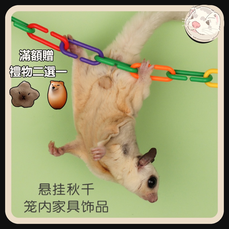 【貂】松鼠 蜜袋鼯 飛鼠爬繩玩具 鸚鵡綿繩 吊繩玩具 玩耍飼養用品 自由變形 小寵用品