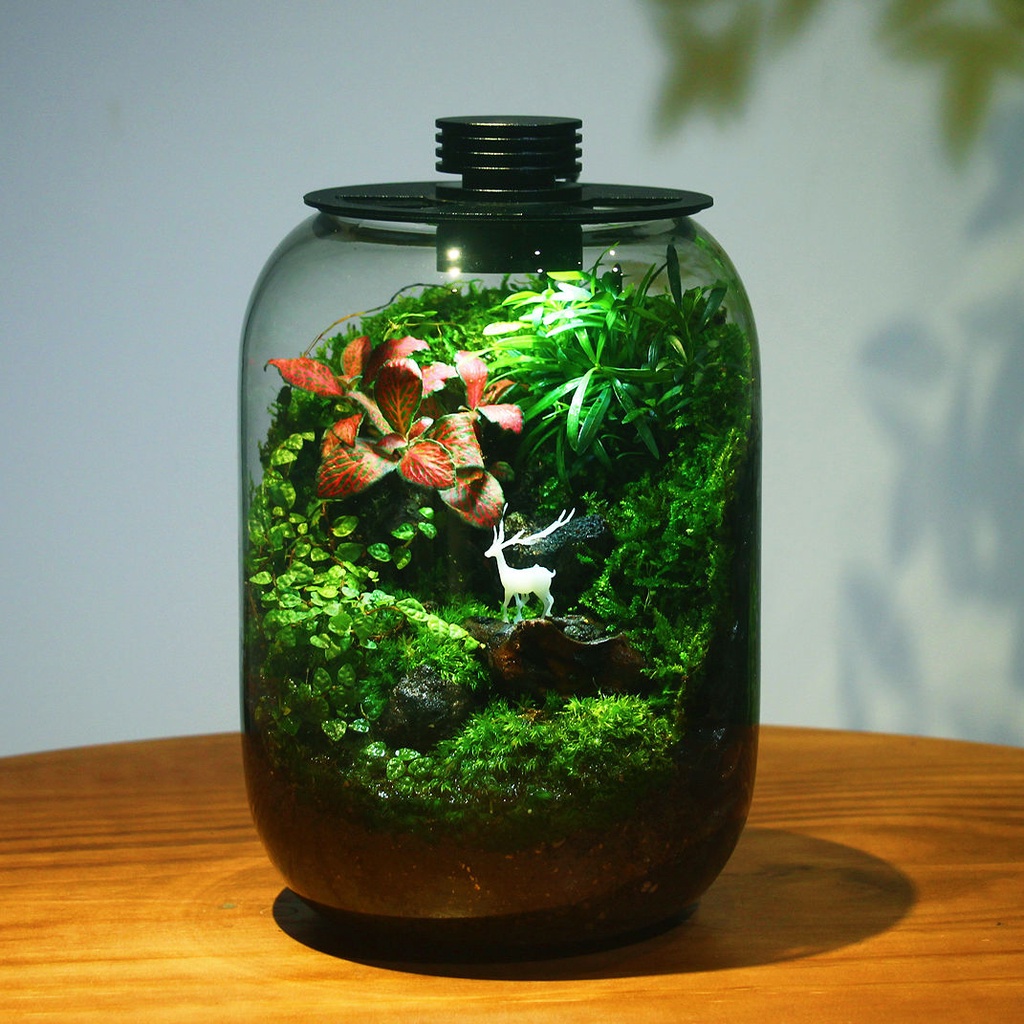 ✨【極速出貨】出口創意苔蘚微景觀擺件生態瓶辦公室桌面綠植成品盆景送朋友禮物