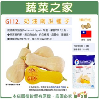 【蔬菜之家滿額免運】G112.奶油南瓜種子3顆(巴特)早生、品質優良之奶油南瓜 肉色橘黃，品質佳，產量高