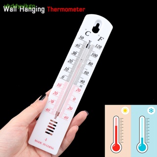 Vhdd 壁掛式溫濕度計用於室內家用溫度計農業蔬菜溫室養殖濕度計 TW