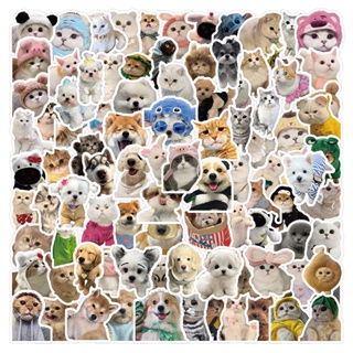 100 件可愛小狗和小貓貼紙可愛寵物裝飾 DIY 手機殼貼紙