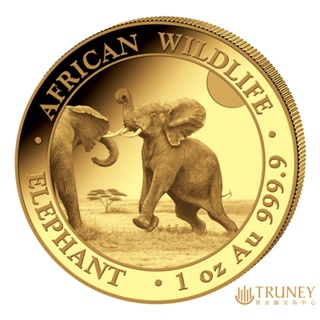 【TRUNEY貴金屬】2024索馬利亞非洲象金幣1盎司 / 約 8.294台錢