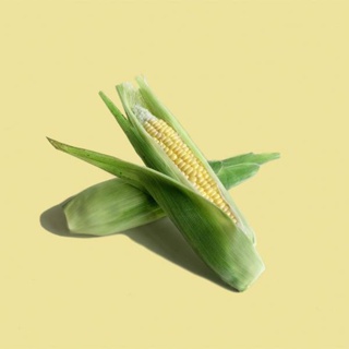 埔里能高山生機黃金甜玉米 400g-700g 甜玉米 玉米粒 安心食材 無毒農業 產地直送 當季鮮採【鮮物良品】
