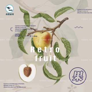 [手繪風格]復古歐美手繪水彩水果插畫菜單海報高畫質AI向量平面包裝設計素材圖