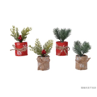 荷蘭 Kaemingk 盆栽聖誕樹/ 聖誕紅與麻布棕/ 17公分高/ 隨機出貨 eslite誠品