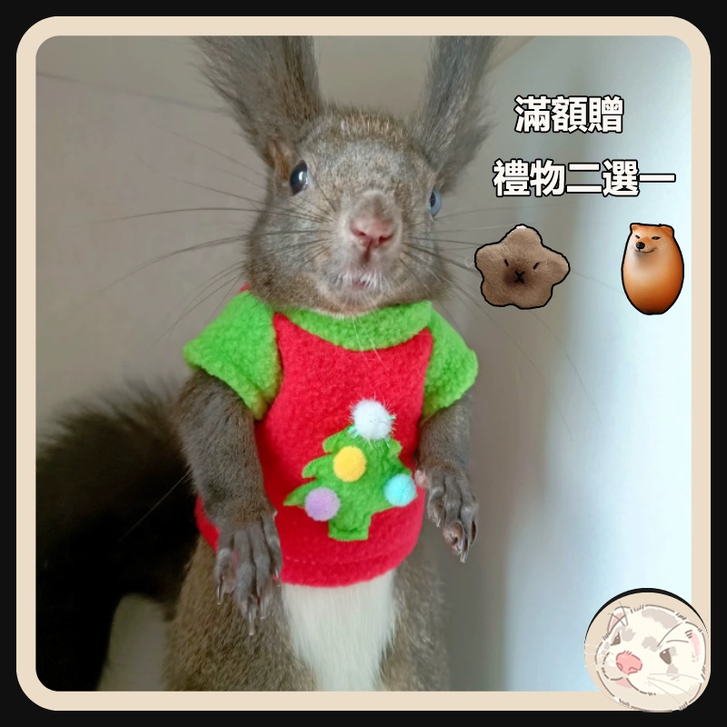 【貂】耶誕冬款 毛絨衣服 保暖毛衣 圍巾 龍貓 土撥鼠 貂 狐獴 松鼠 小寵服飾