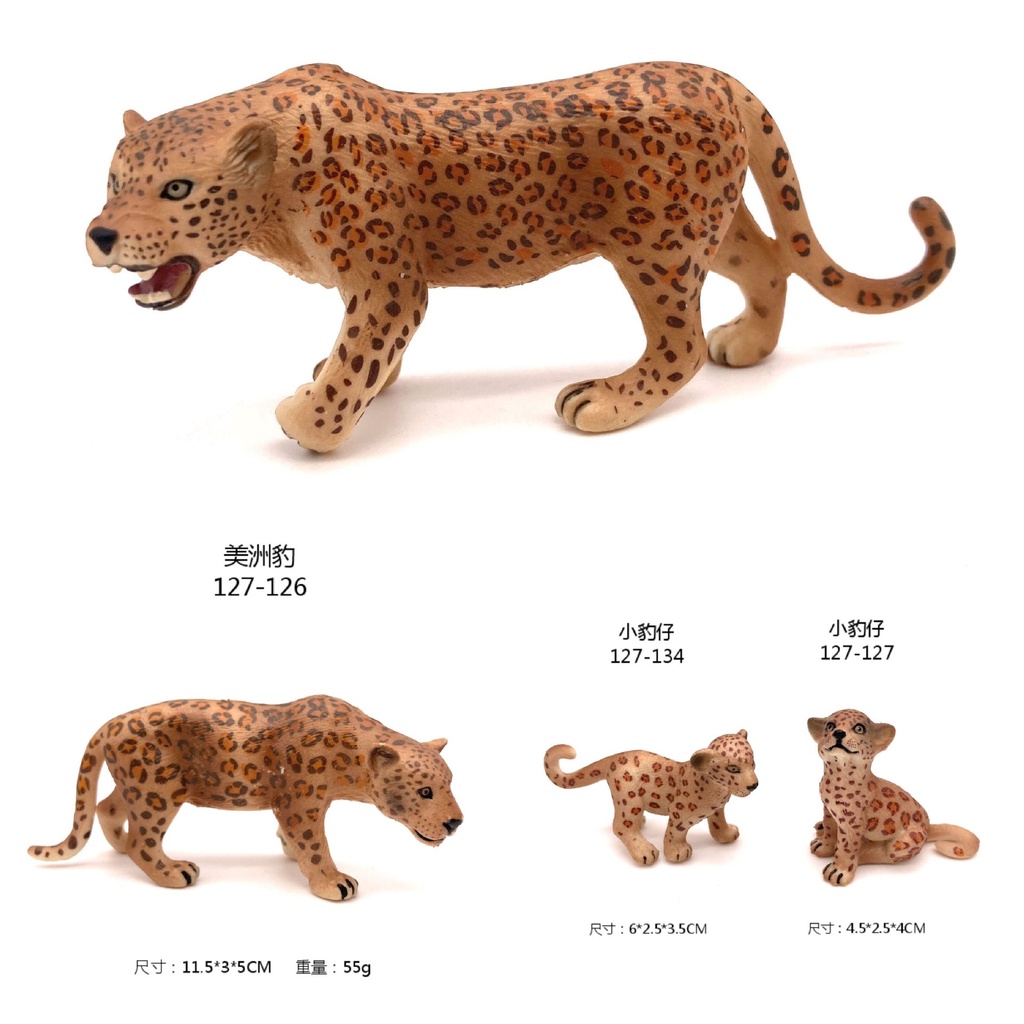 ✌限时熱銷✌仿真野生貓科動物模型獵豹金錢豹美洲豹模型套裝實心玩具擺件