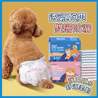 ❤️臺灣現貨❤️貓咪生理褲一次性 母貓變色姨媽巾 寵物母狗紙尿褲 寵物尿布墊 狗狗尿片 貓咪尿褲 公貓尿不濕