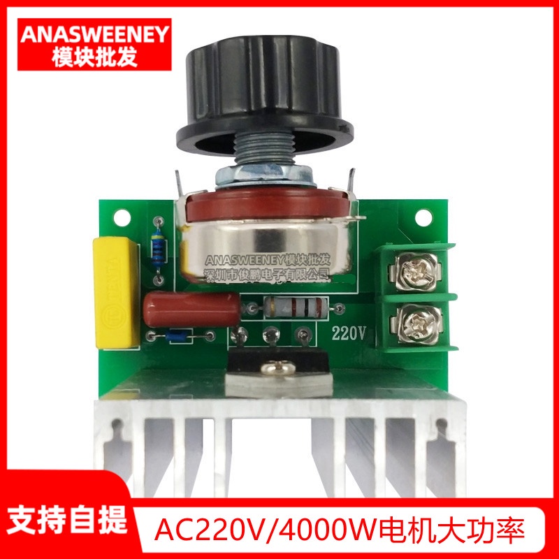 【滿299元免運】新品AC220V/4000W電機電爐風機大功率 調光 調溫 調壓開關調速器