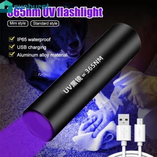 365nm 紫外線手電筒 - LED 恆溫手電筒 - USB 可充電防水手電筒 - 紫外線黑鏡迷你紫光手電筒 - 寵物尿