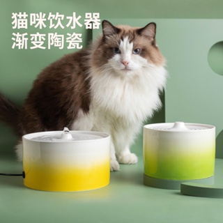 【現貨+免運】貓咪電動陶瓷加熱飲水機 自動飲水器 狗狗喝水 循環寵物碗 活水飲水機