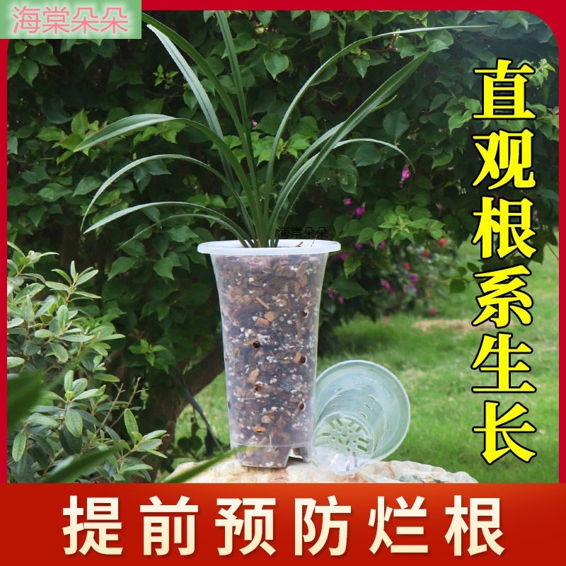 海棠朵朵❀【滿199出貨】【熱銷】透明蘭花盆 塑料 透氣盆帶側孔蘭花蝴蝶蘭石斛專用盆園藝花盆