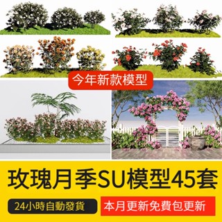 非實物sketchup模型｜ 3d藤本歐洲月季玫瑰花SU模型爬藤植物樹狀棒棒糖圍墻花架草圖大師