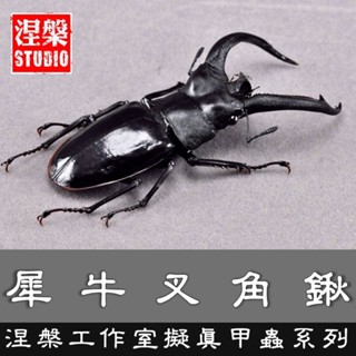 🔥現貨🔥犀牛叉角鍬形蟲模型 涅槃工作室 甲蟲 昆蟲 鍬形蟲 擬真模型 擺飾 磁鐵 涅盤【JF文具】