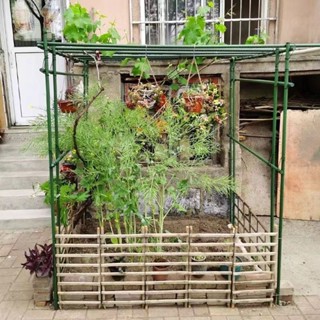 花架爬藤架黃瓜架葡萄架番茄爬架花盆柱塗塑鋼管蔬菜種植架塗膠鋼管
