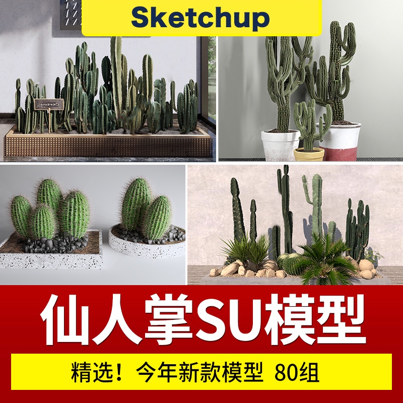 SU模型 仙人掌仙人球棍熱帶多肉植物室內陽台露台盆栽草圖大師素材 sketchup