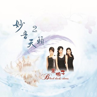 【新韻傳音】妙音天籟2-黑鴨子 佛教音樂專輯 佛曲CD DSD-888-06
