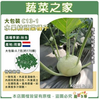 【蔬菜之家滿額免運】大包裝C13-1.水果結頭菜種子0.7克(約170顆) (有藥劑處理)F1，如水果般多汁甜脆