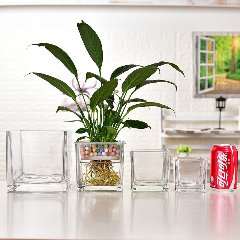 簡約水培玻璃器皿透明玻璃水養植物綠蘿鬱金香百合種球擺件花瓶