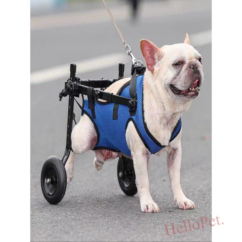 ⭐️宅配免運·狗輪椅後肢癱瘓寵物代步車殘疾狗狗後腿輔助貓泰迪大型小型犬支架