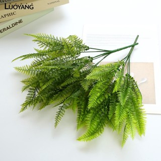 洛陽牡丹 49目波斯草蕨類仿真植物綠植盆栽裝飾塑膠假草