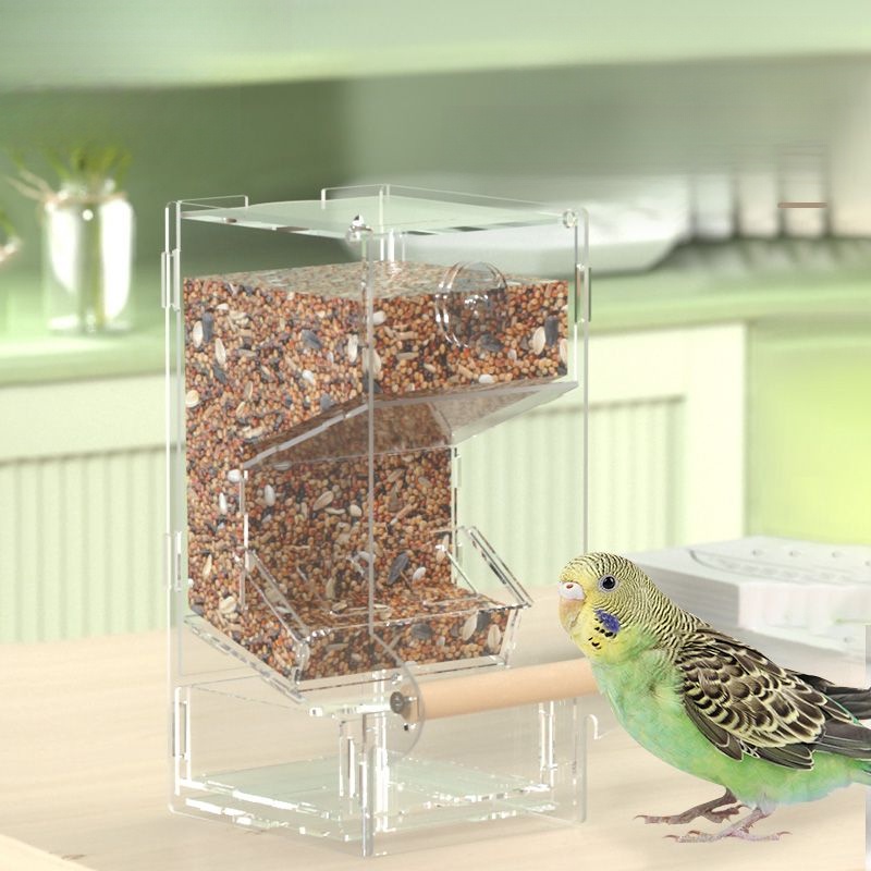 虎皮鳳凰鳥牡丹懶人自動防濺餵食器防溢出設計鸚鵡餵食盒