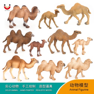 ♞廠家批發♞仿真實心野生沙漠動物模型單峰雙峰駱駝兒童認知塑膠玩具駱駝擺件