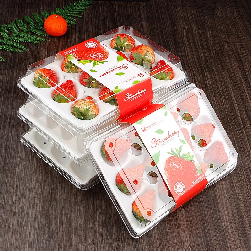 現貨【水果盒】一次性草莓盒子包裝盒 透明 塑膠 打包盒 水果盒 裝草莓的盒子 15粒帶託