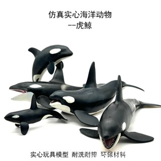 ✌限時熱銷✌模擬虎鯨 海豚 鯊魚玩具模型兒童海洋世界動物模型實心塑膠擺件