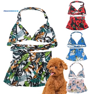 Pep-1 套裝寵物泳衣柔軟舒適繫帶設計醒目花卉印花狗貓