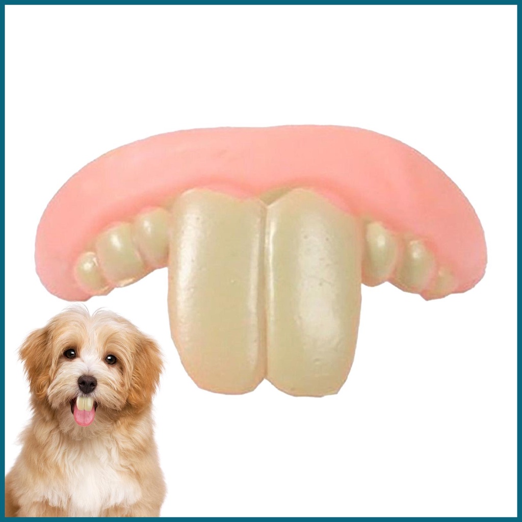 狗玩具牙齒搞笑狗矽膠假牙玩具創意幽默耐用抗撕裂易塗抹狗玩具jiwtw