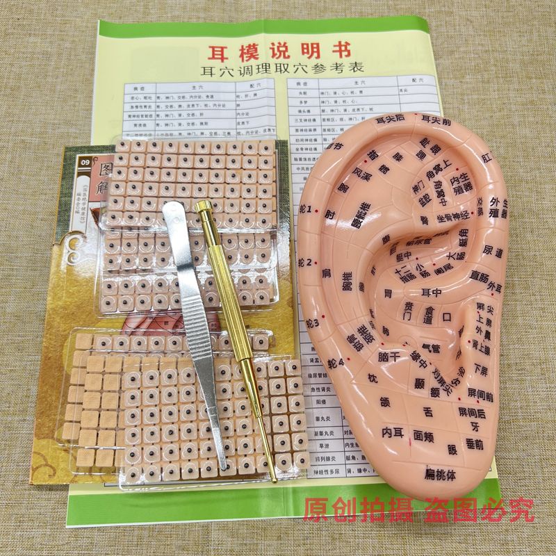 【台灣精選】 耳穴貼 耳朵模型 多穴位反射區 按摩耳部探針 耳豆貼 耳貼壓豆家用
