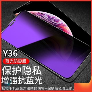 VIVO Y02s Y16 Y55 Y55S Y36 Y17S Y27 Y76 5G 抗藍光防窺 玻璃貼 防偷窺保護貼