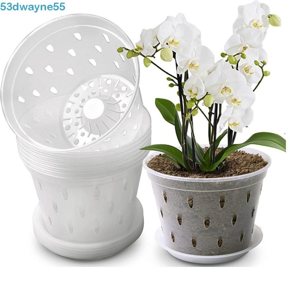 DWAYNE蘭花花盆出色的排水良好的空氣流量帶孔和托盤氣孔透明植物盆
