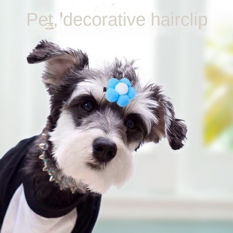 寵物狗向日葵髮夾可愛貓咪泰迪頭飾裝扮