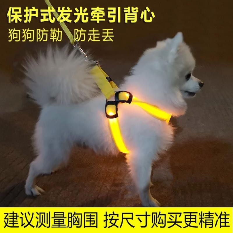 狗狗夜光牽引繩背心式LED發光胸背泰迪牽引繩寵物狗鏈小型USB充電20240307